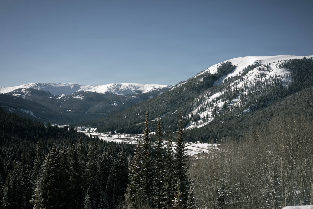 10th MTN DIV and Ski Patrol train on Avalanches