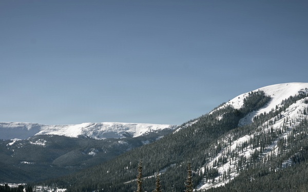 10th MTN DIV and Ski Patrol train on Avalanches
