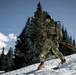 10th MTN DIV and Ski Patrol train on Avalanches