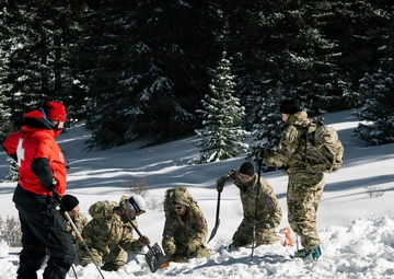 10th MTN DIV and Ski Patrol train on Avalanches