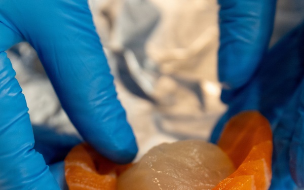 U.S. Army Reserve Student Team of the Year