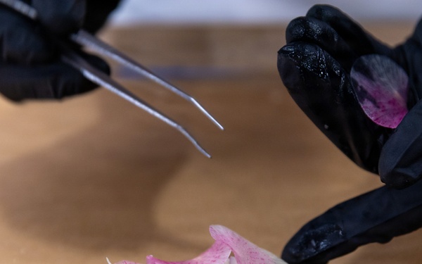 U.S. Army Reserve Nutrition Hot Food Event