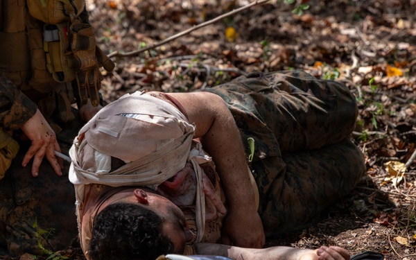 Counter-Landing Casualty Evacuation at Exercise Cobra Gold 2026