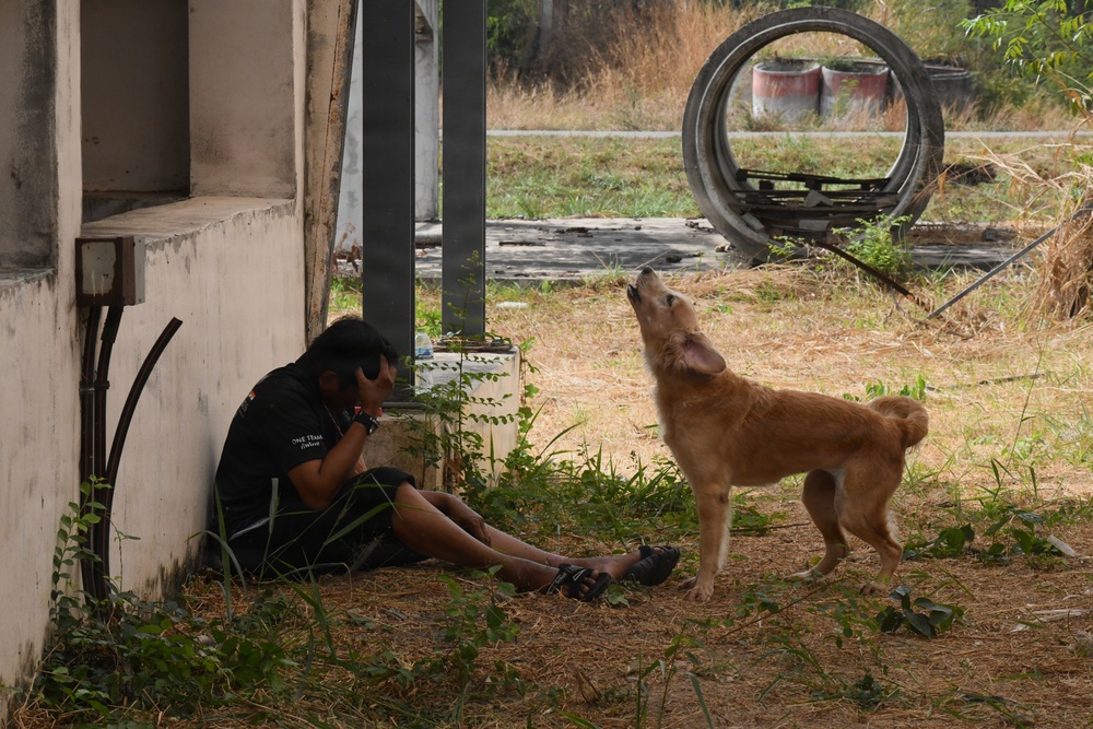 Cobra Gold 26 Humanitarian Assistance and Disaster Relief Exercise