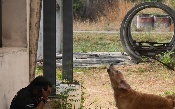 Cobra Gold 26 Humanitarian Assistance and Disaster Relief Exercise