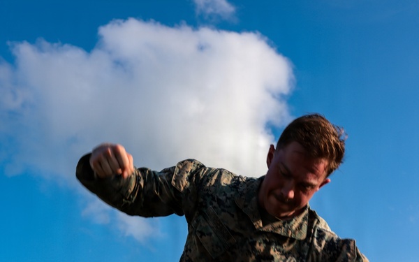 5th Air Naval Gunfire Liaison Company hosts Marine Corps Martial Arts Program black belt culminating event