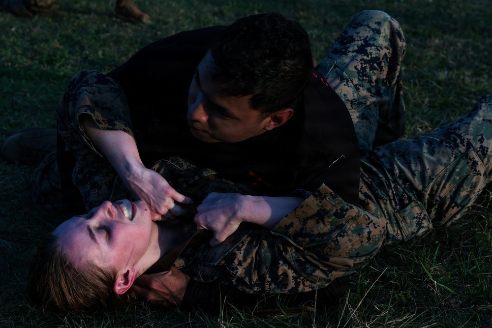 5th Air Naval Gunfire Liaison Company hosts Marine Corps Martial Arts Program black belt culminating event