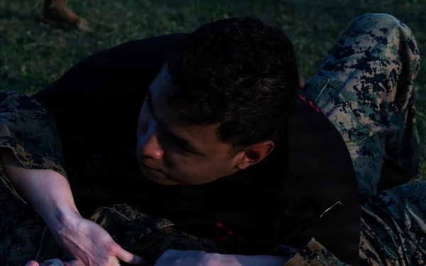 5th Air Naval Gunfire Liaison Company hosts Marine Corps Martial Arts Program black belt culminating event