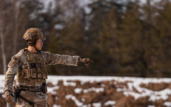 Joint Small Arms Training