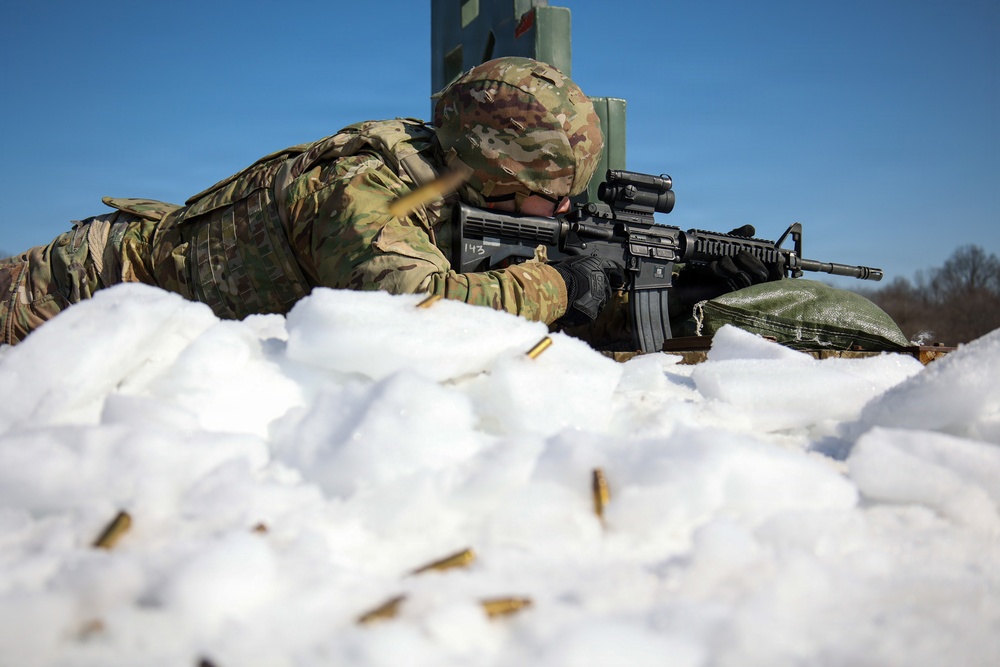 1 TSC Expert Soldier Badge