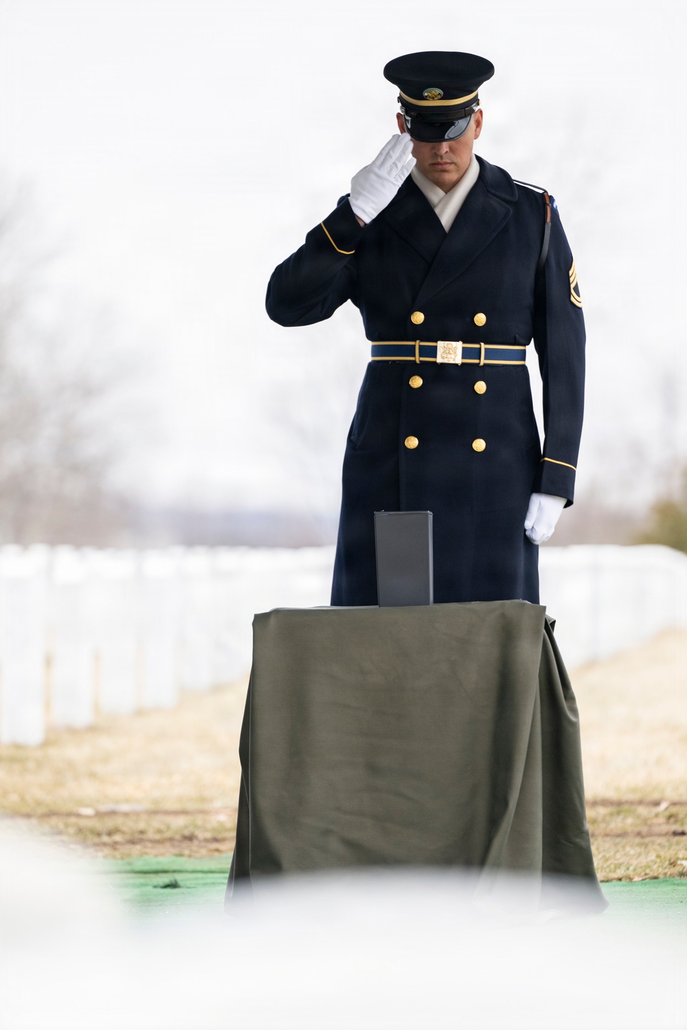 Military Funeral Honors are Conducted for U.S. Army Spc. 4th Class Michael Vinson in Section 71