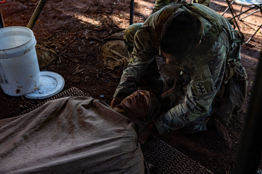 8th Theater Sustainment Command Soldiers Train for E3B Medical Lanes