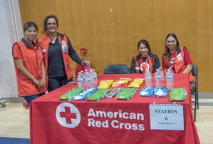 Drive within the Speed Limits