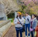 CFAY FFSC Hosts Cherry Blossom Viewing