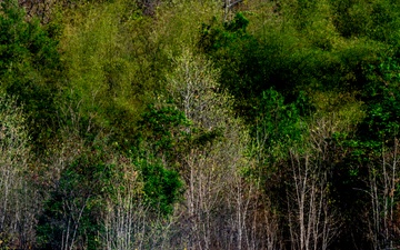 Allied forces integrate rapid HIMARS capability during Cobra Gold 2026