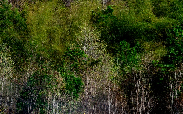 Allied forces integrate rapid HIMARS capability during Cobra Gold 2026