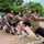U.S. Military members participate in sports day during Exercise Cobra Gold 2026 U.S. Military members participate in sports day during Exercise Cobra Gold 2026