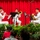 "Harbor" Brass Quintet Performs at Ala Moana Center Stage