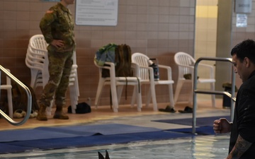 Military Working Dogs Take to the Water in Unique Training Event