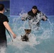 Military Working Dogs Take to the Water in Unique Training Event