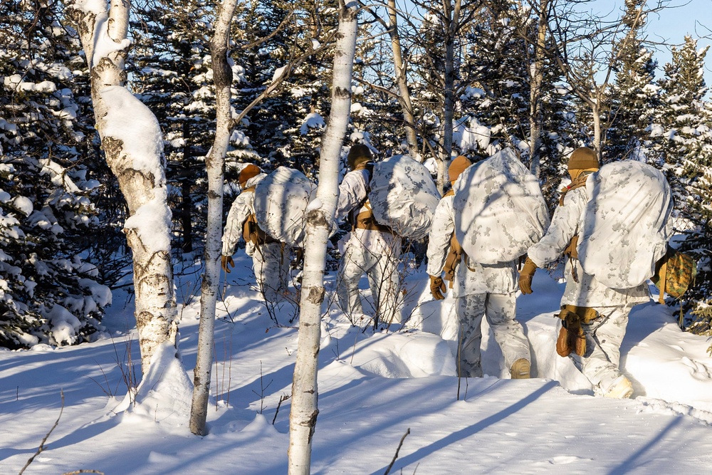 Arctic Resiliency Training: US Marines Learn Essential Survival Skills