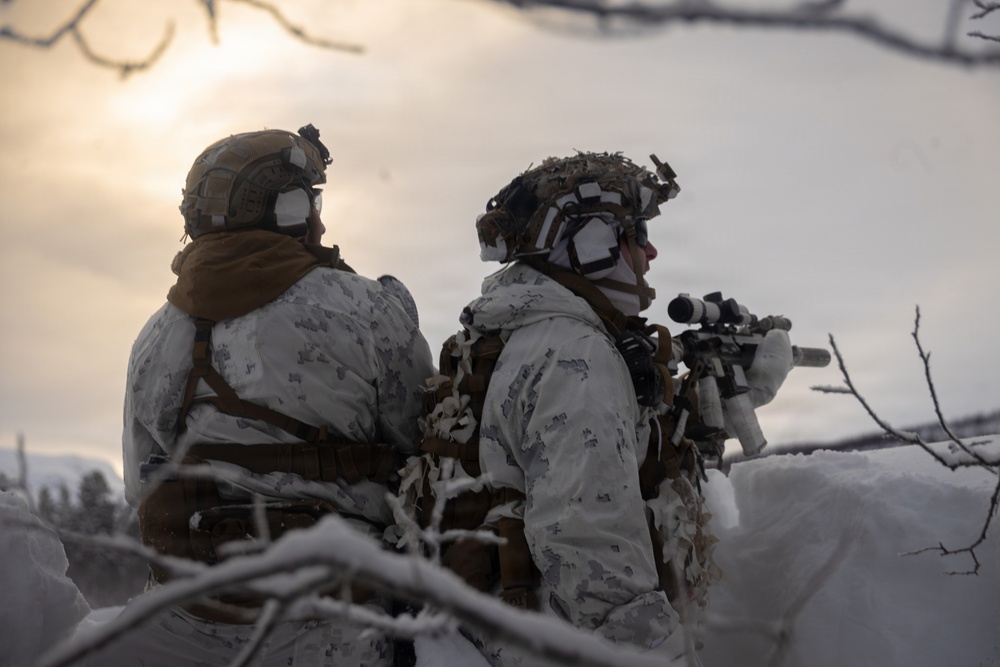 CORE26 | U.S. Marines conduct Live-Fire and Maneuver Squad Attacks during Arctic Exercise