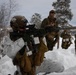 CORE26 | U.S. Marines conduct Live-Fire and Maneuver Squad Attacks during Arctic Exercise