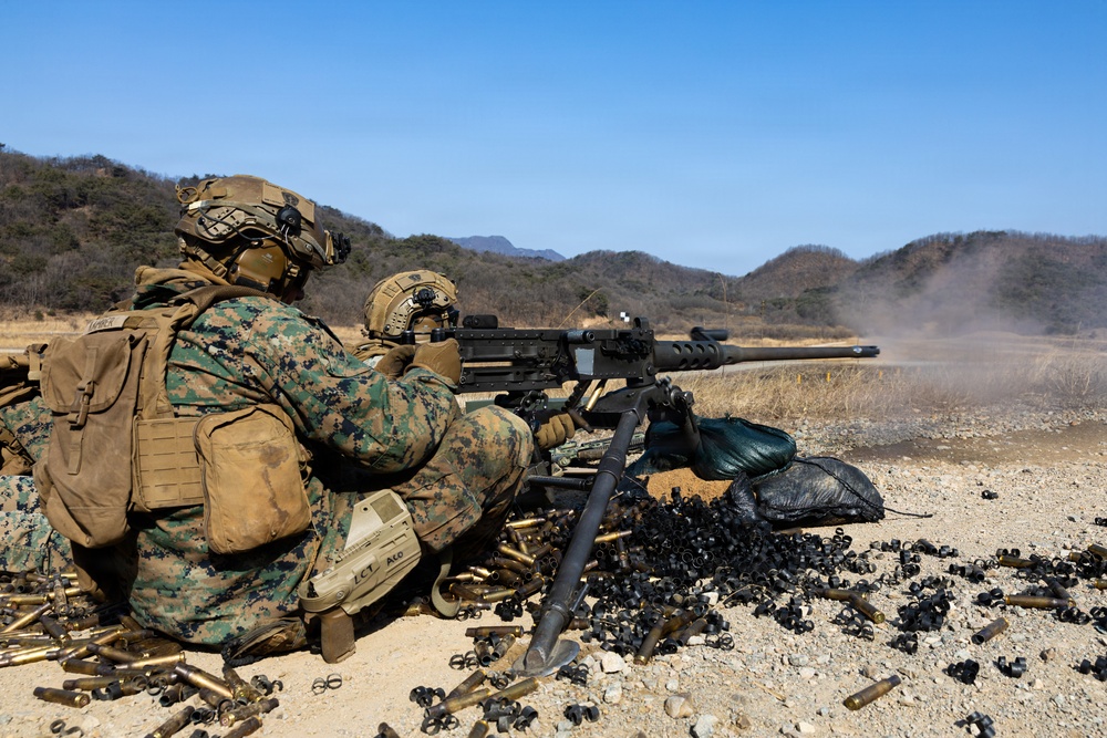 U.S. Marines with 12th LCT Execute a CALFEX