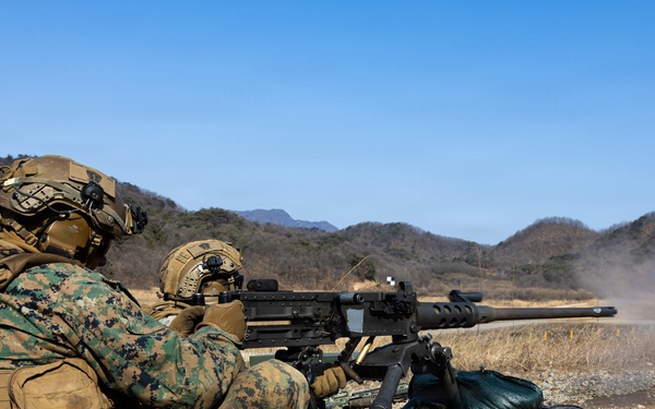 U.S. Marines with 12th LCT Execute a CALFEX