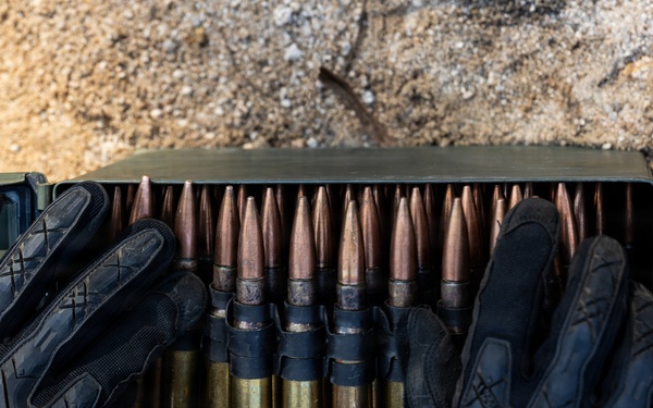U.S. Marines with 12th LCT Execute a CALFEX