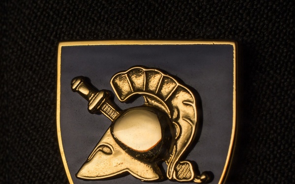 SFC Robert P. Johnson, Cadet Equestrian Trainer, 9th and 10th Cavalry Regiments, USMA Veterinary Detachment, 1937-1963.