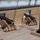 Royal Savage Model Delivery