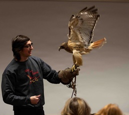 Eagle Watch Weekend Returns, Showcasing Winter Eagles Along the Illinois River