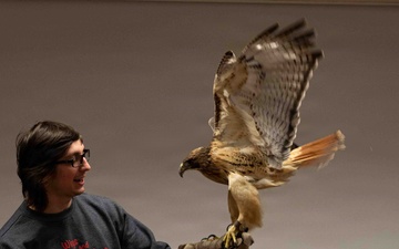Eagle Watch Weekend Returns, Showcasing Winter Eagles Along the Illinois River