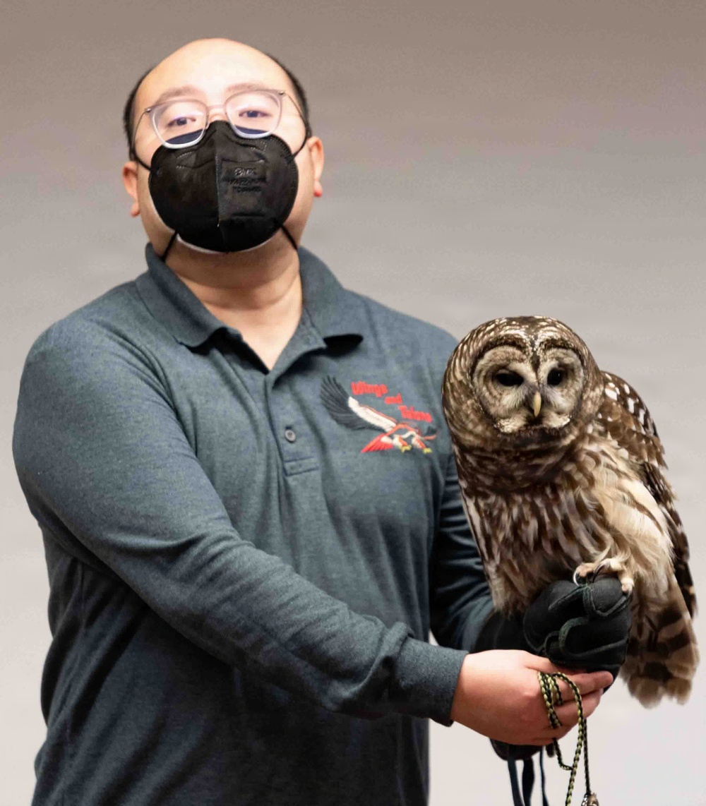 Eagle Watch Weekend Returns, Showcasing Winter Eagles Along the Illinois River