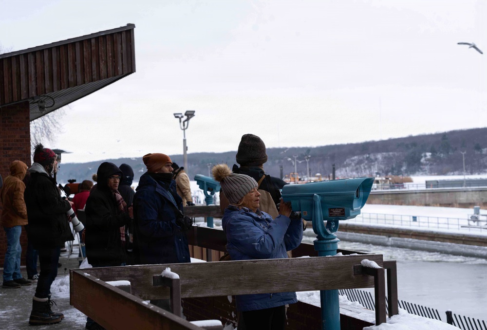 Eagle Watch Weekend Returns, Showcasing Winter Eagles Along the Illinois River