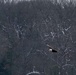 Eagle Watch Weekend Returns, Showcasing Winter Eagles Along the Illinois River