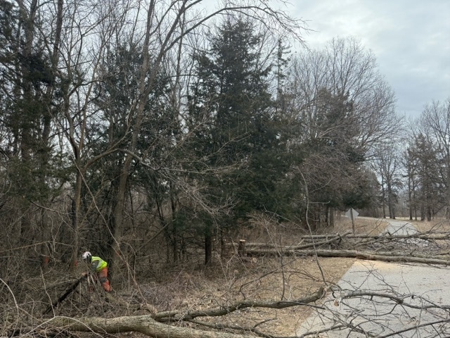 Rangers Balance Safety and Stewardship  in Hazard Tree Removal at Saylorville Lake