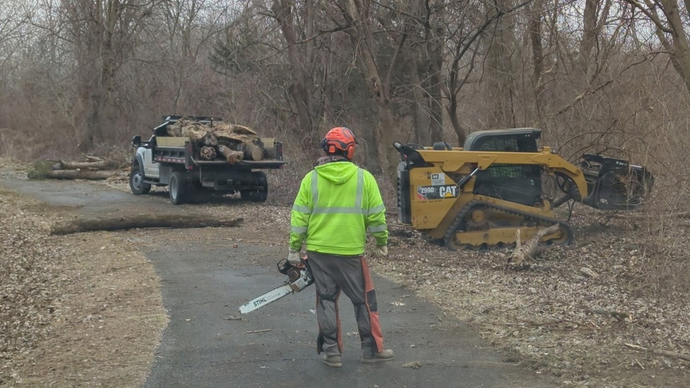 Rangers Balance Safety and Stewardship  in Hazard Tree Removal at Saylorville Lake