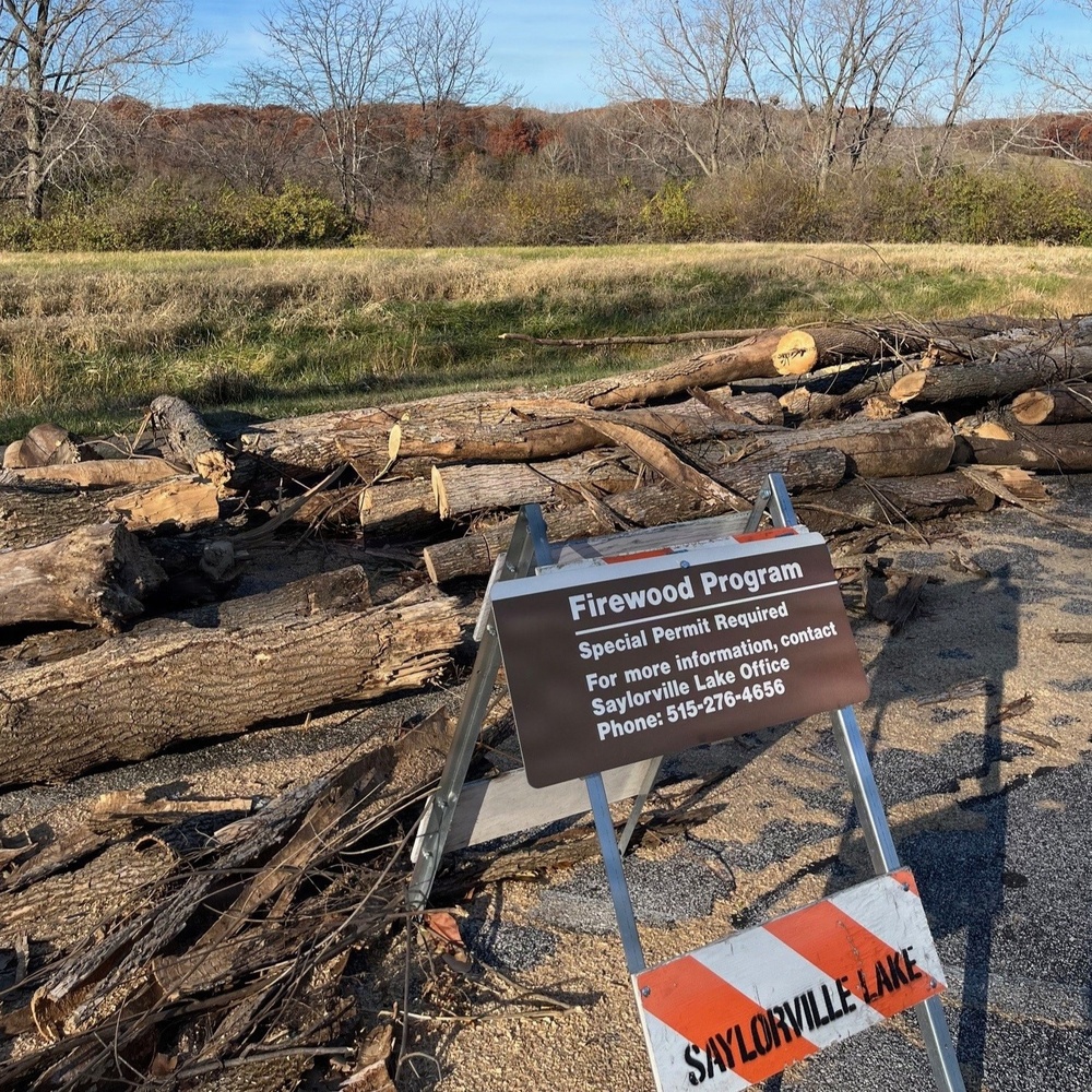 Rangers Balance Safety and Stewardship  in Hazard Tree Removal at Saylorville Lake