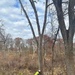 Rangers Balance Safety and Stewardship  in Hazard Tree Removal at Saylorville Lake