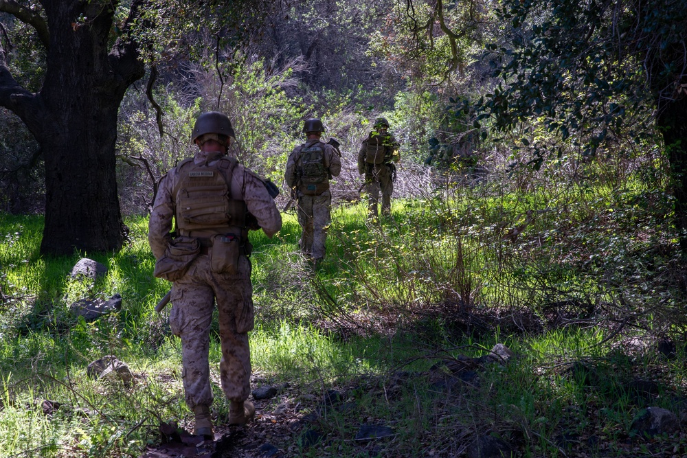 2nd Bn, 1st Marines conduct a foot patrol along the southern border