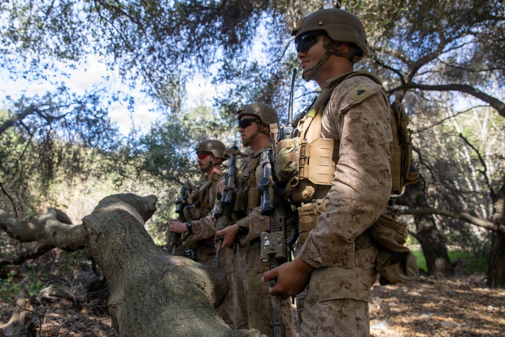 2nd Bn, 1st Marines conduct a foot patrol along the southern border
