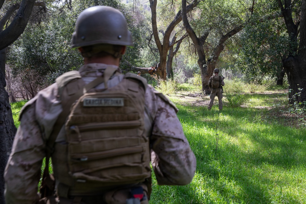 2nd Bn, 1st Marines conduct a foot patrol along the southern border