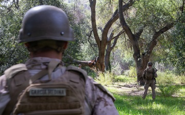 2nd Bn, 1st Marines conduct a foot patrol along the southern border