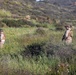 2nd Bn, 1st Marines monitor the southern border