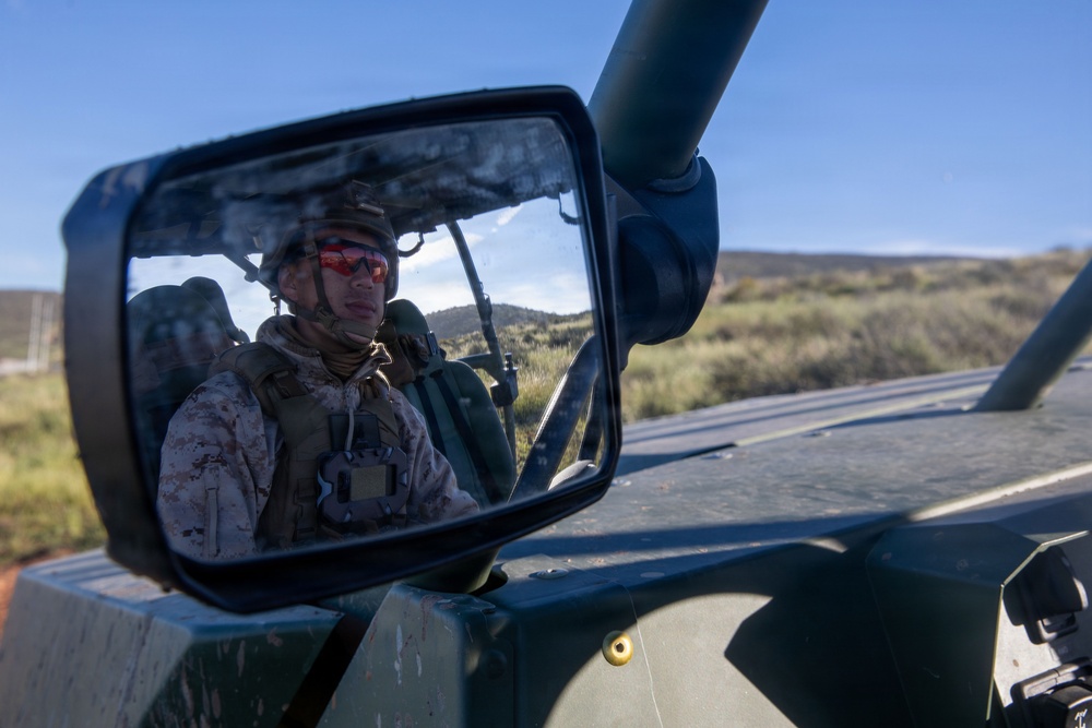 2nd Bn, 1st Marines monitor the southern border