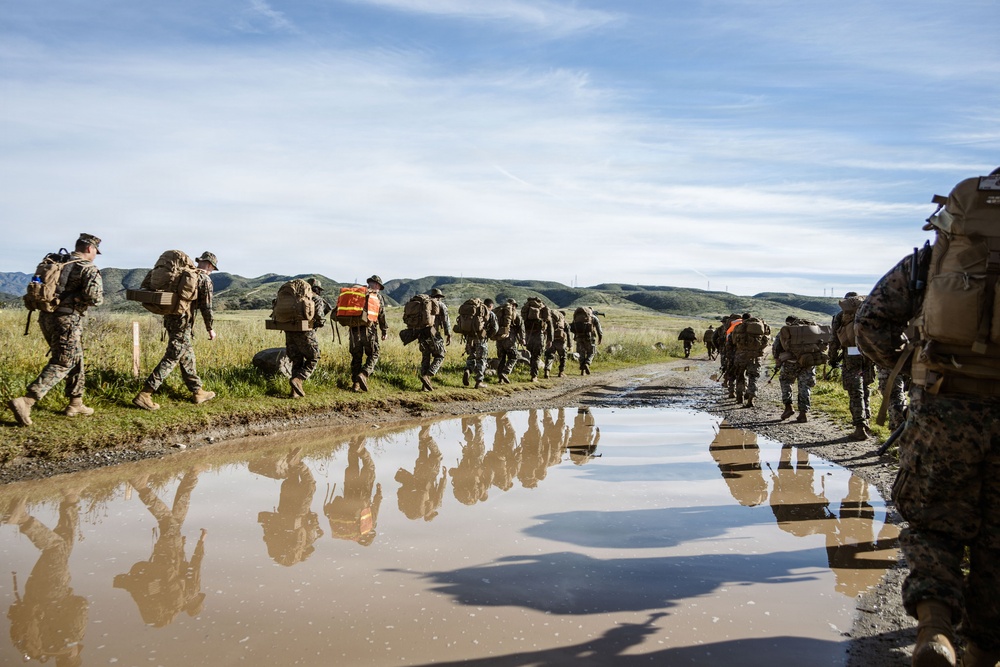 1st ANGLICO Conducts FEX