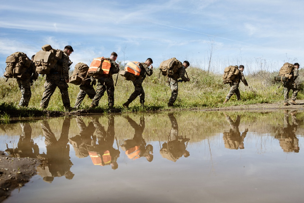 1st ANGLICO Conducts FEX