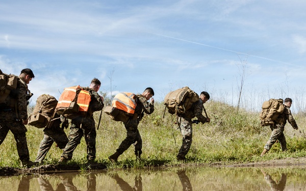 1st ANGLICO Conducts FEX